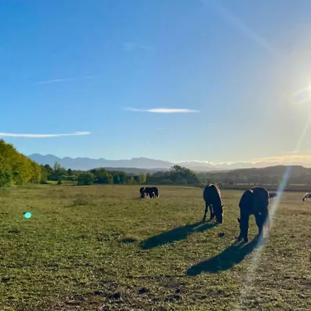 3 Pieces Avec Terrasse - Api-1-52-888 Camon (Languedoc-Roussillon)