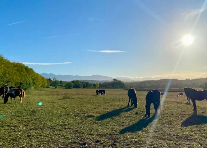 3 Pieces Avec Terrasse - Api-1-52-888 Camon (Languedoc-Roussillon)